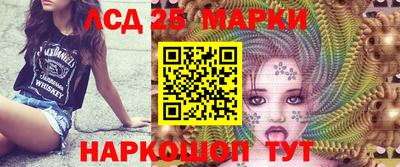 гашик Нальчик